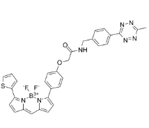 2183473-54-1 , BDP TR methyltetrazine, BDP TR甲基四嗪