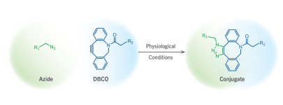 cas:2183440-28-8 ，Methyltetrazine-PEG12-DBCO， 甲基四嗪-十二聚乙二醇-二苯并環辛炔