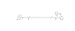 1255942-07-4，DBCO-PEG4-Biotin， 二苯基環辛炔-四聚乙二醇-生物素