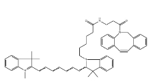 CY7-二苯基環辛炔;二苯并環辛炔-CY7;CY7-二苯并環辛炔，DBCO-Cyanine7，CAS號：2253710-45-9