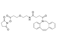 DBCO-PEG1-NHS ester，CAS:2228857-34-7，二苯基環(huán)辛炔-一聚乙二醇-琥珀酰亞胺酯