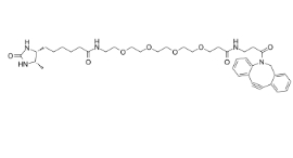 DBCO-PEG4-Desthiobiotin，Desthiobiotin-PEG4-DBCO，CAS號：2032788-37-5，二苯基環辛炔-四聚乙二醇-脫硫生物素