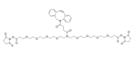 DBCO-N-bis(PEG4-NHS ester)，CAS:2639395-38-1，二苯基環辛炔-N-bis(四聚乙二醇-琥珀酰亞胺酯)