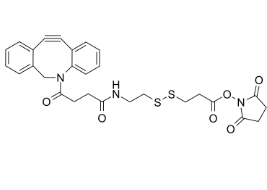 DBCO-CONH-S-S-NHS ester，CAS:1435934-53-4