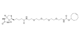 TCO-PEG4-biotin，CAS：2183440-30-2，反式環辛烯-四聚乙二醇-生物素