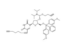 clk-a03-1g c8-alkyne-du-cep, 1 g pack，CAS號(hào)：938186-76-6