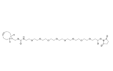 endo-BCN-PEG8-NHS ester，cas:1608140-48-2，endo-環丙烷環辛炔-八聚乙二醇-羥基琥珀酰亞胺酯