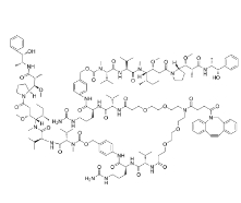 DBCO-(PEG2-VC-PAB-MMAE)2，CAS:2259318-55-1，二苯并環(huán)辛炔-(二聚乙二醇-VC-PAB-MMAE)2