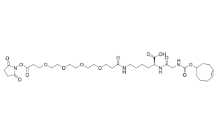 TCO-GK-PEG4-NHS ester， CAS:2307311-19-7