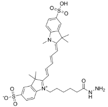 2055138-61-7；diSulfo-Cy5 hydrazide；二磺酸-CY5-酰肼	