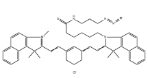 1628790-36-2，Cyanine7.5 azide,Cy7.5-N3,近紅外熒光染料，Cy7.5-疊氮	