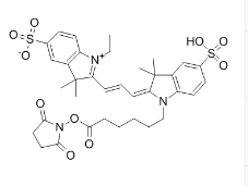 磺酸基-146368-16-3，Cy3-N-羥基琥珀酰亞胺酯,熒光染料,Sulfo-Cyanine3 NHS ester,		