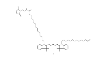 2107273-74-3；N-(azide-PEG3)-N＇-(Mal-PEG4)-Cy5		 瑞禧生物