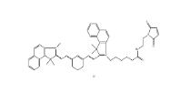 2270866-73-2，Cyanine7.5 maleimide，Cy7.5-Mal，菁染料cy7.5馬來酰亞胺	