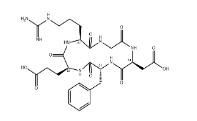 cyclo(RGD-DPhe-E) ，756500-22-8，RGD環肽        瑞禧生物