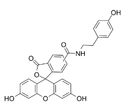 210236-90-1，Fluorescein Tyramide，FITC-Tyramide，熒光素酪胺