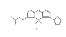 BDP 558/568 carboxylic acid|Bodipy染料；150173-72-1；BDP 558/568-羧酸	