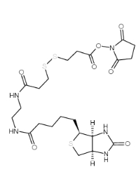 NHS-SS-Biotin，CAS號(hào)：142439-92-7           瑞禧生物