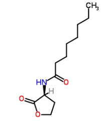 CAS號：147852-84-4  ，C8-HSL            瑞禧生物  