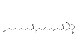 CAS號(hào)：1006592-59-1，Propargyl-C8-amido-PEG2-NHS ester