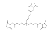 173414-89-6，m-C-tri(CH2-PEG1-NHS ester)      瑞禧生物