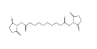 cas:98604-88-7，Bis-SS-C3-NHS ester，抗體藥物偶聯物（ADC）