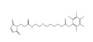 cas:1347750-81-5，Mal-NH-PEG2-CH2CH2COOPFP ester，馬來酰亞胺二聚乙二醇CH2CH2COOPFP ESTER，抗體藥物偶聯物（ADC）