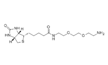 cas:138529-46-1，(+)-Biotin-PEG2-CH2CH2NH2  ，生物素-PEG2-胺