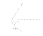 DSPE二硬脂酰磷脂酰乙醇胺，1069-79-0 ，DSPE藥用輔料， 1,2-二硬脂酰基-sn-丙三基-3-磷脂酰乙醇胺