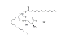 二肉豆蔻酰磷脂酰絲氨酸（鈉鹽）DMPS(Na),105405-50-3，1,2-二肉豆蔻酰基-sn-甘油-3-磷酸-L-絲氨酸(鈉鹽)